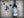 Groszer Wein Eisenberg DAC Blaufränkisch
