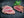 Topside Steak Bio