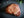 Topside Steak Bio